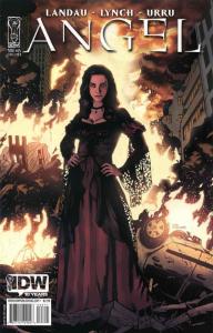 Angel (6th Series) #25B VF/NM; IDW | save on shipping - details inside