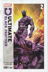 Ultimate Black Panther # 2 Variant 2nd Printing Cover NM Marvel 2024 [U1]