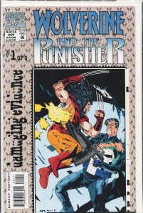 Wolverine and the Punisher: Damaging Evidence #1 (1993) Punisher