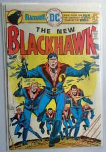 Blackhawk (1st Series) #244, 5.0 (1976)