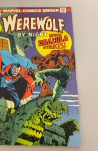 Werewolf by Night #15 (1974)vs Dracula