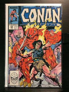 Conan the Barbarian #205 (1988)