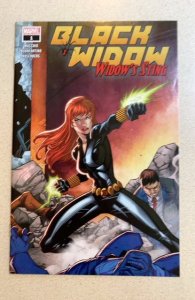 Black Widow Widow's Sting #1 (2020) Ron Lim Walmart Exclusive Variant Cover