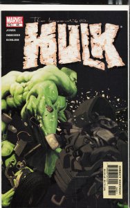 Incredible Hulk #48 (2003) Hulk
