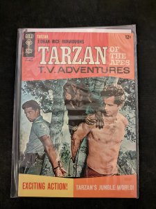 Edgar Rice Burroughs' Tarzan #162 (1966)