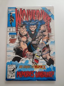 Wolverine #48 (1991) Wolverine