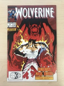 Wolverine 13