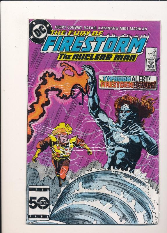 DC LOT of 5 FIRESTORM Comics #41,42,43,46,& 47 VG/FINE (SIC234)