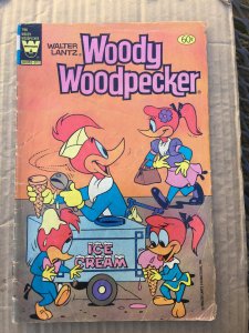 Walter Lantz Woody Woodpecker #196