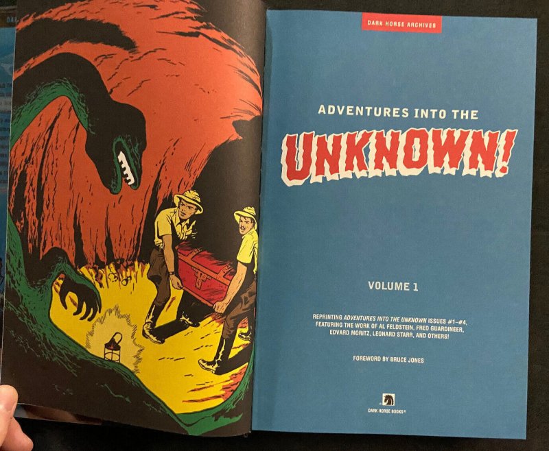 ADVENTURES INTO THE UNKNOWN HARDCOVER VF/NM REPRINTS PRE CODE HORROR IN COLOR