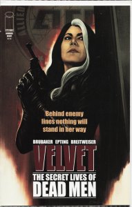 Velvet #8 (2014) Velvet
