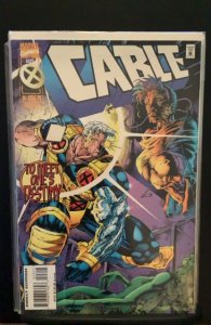 Cable #23 (1995)