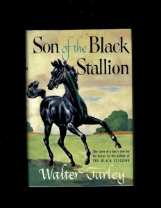 3 Books Inside Pop, The Lone Eagle, Son of the Black Stallion JL6