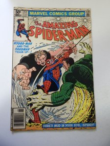 The Amazing Spider-Man #217 (1981) VG Condition