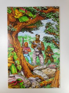 Teenage Mutant Ninja Turtles #12 (1987)