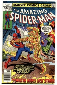 AMAZING SPIDER-MAN #173 comic book-MARVEL COMICS