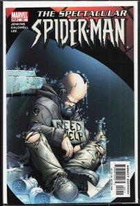 Spectacular Spider-Man #22 (2005) Spider-Man