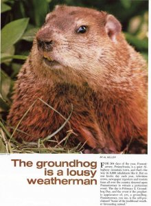 National Wildlife Magazine 1980