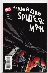 The Amazing Spider-Man #578 (2009)