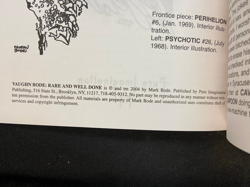 VAUGHN BODE RARE AND WELL DONE SKETCHBOOK VF