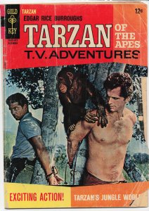 Edgar Rice Burroughs' Tarzan #162 (1966)