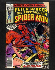 Spectacular Spider-Man #11