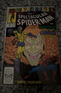 The Spectacular Spider-Man #162 (1990) Spider-Man 