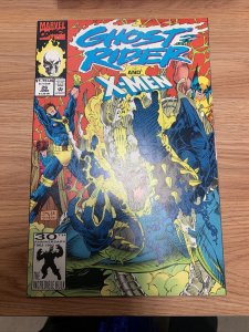 Marvel Comics Ghost Rider Volume 2 #26 