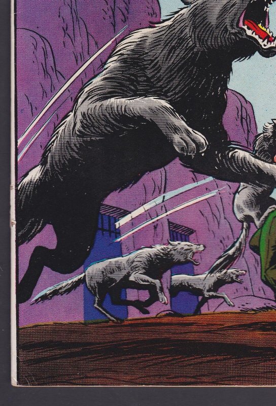 Tomahawk #111 Western FN+ 6.5 DC Comic - Aug 1967 Bob Brown 