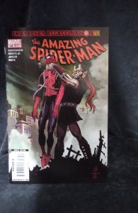 The Amazing Spider-Man #585 (2009)