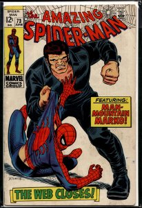 The Amazing Spider-Man #73 (1969) Spider-Man [Key Issue]