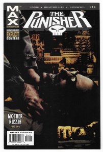 THE PUNISHER  MAX #14