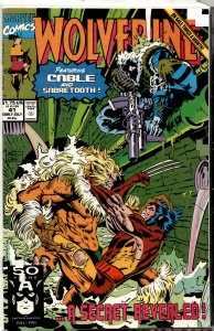 Wolverine #41 (1991) Wolverine