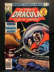 Tomb of Dracula #66 (1978)