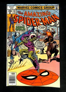 Amazing Spider-Man #177 Green Goblin! Ross Andru Art!