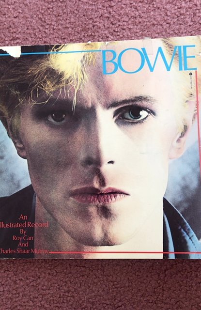 David Bowie an illustrated record by Carr,1981,120p