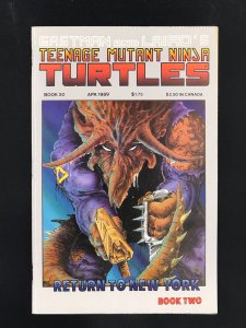 Teenage Mutant Ninja Turtles #20 (1989)
