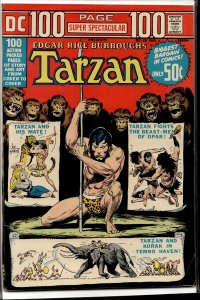 DC 100-Page Super Spectacular #19 (1973)