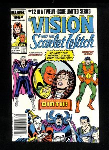 Vision and the Scarlet Witch #12