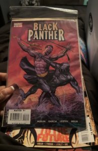 Black Panther #21 (2006) Black Panther 