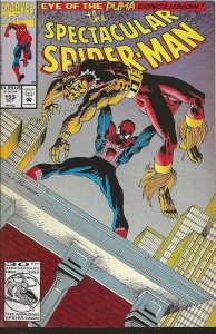 The Spectacular Spider-Man #193 Direct Edition (1992) - NM
