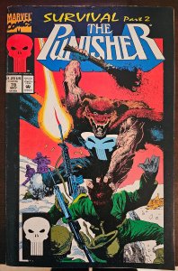 The Punisher #78 (1993)