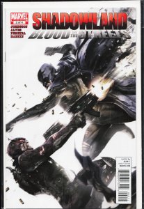 Shadowland: Blood on the Streets #2 (2010) Shroud