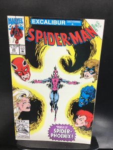 Spider-Man #25 (1992)nm