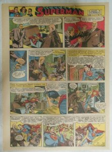 Superman Sunday Page #562 by Wayne Boring from 8/6/1950 Size ~11 x 15 inches