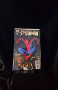 The Amazing Spider-Man #518 (2005)  