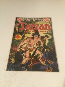 Tarzan 210 Fn- Fine- 5.5 DC Comics
