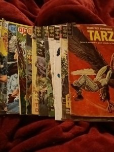 Tarzan 15 Issue Gold Key DC Silver Bronze Age Comics lot Run Set Collection
