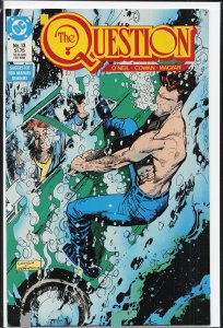 The Question #13 (1988) The Question