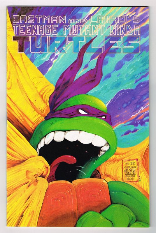 Teenage Mutant Ninja Turtles #22 (1989)      READ